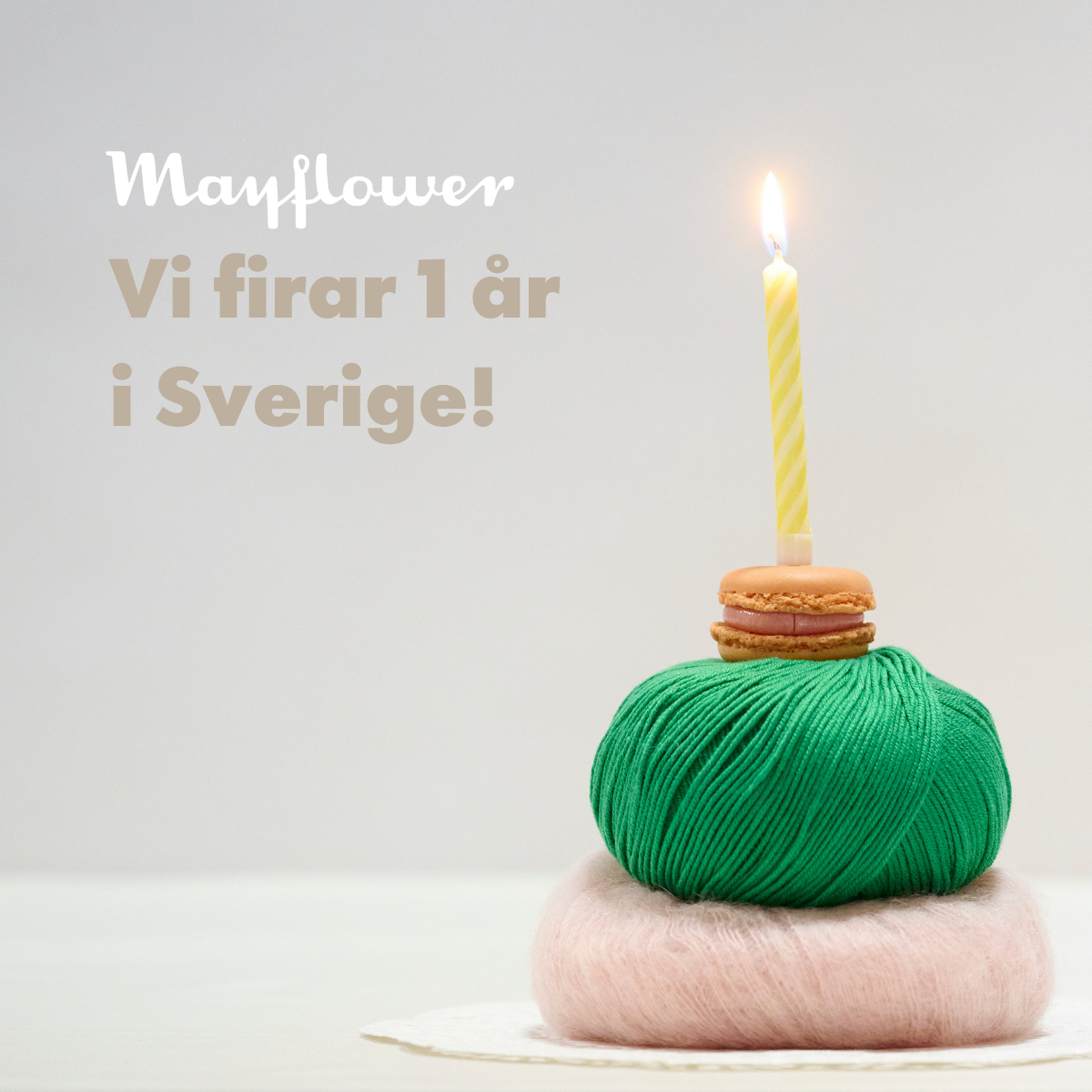 Mayflower Sverige firar 1 år!